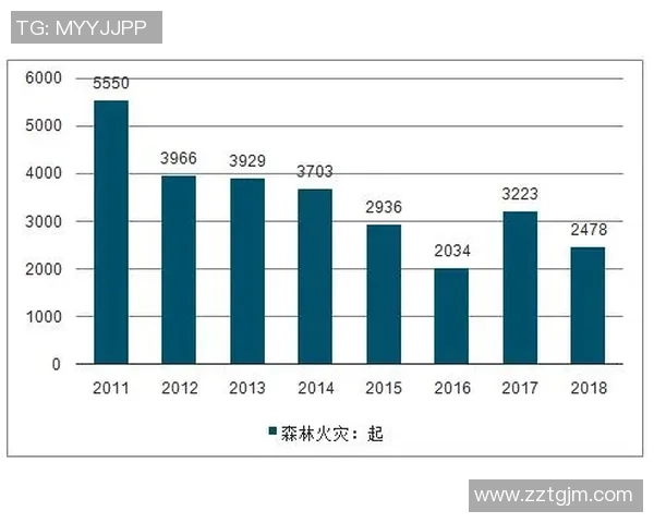 武汉足球队运营揭秘:从管理模式到市场策略的全面分析 武汉足球队运营揭秘:从管理模式到市场策略的全面分析